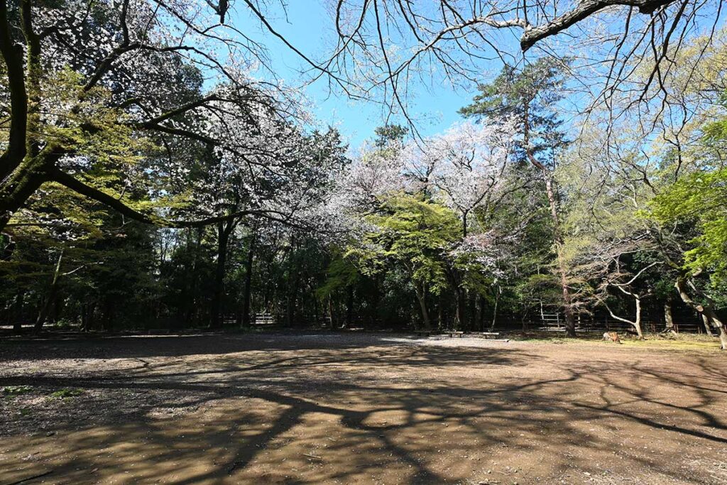 井の頭公園第二公園