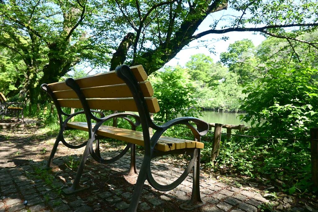 井の頭公園のベンチ