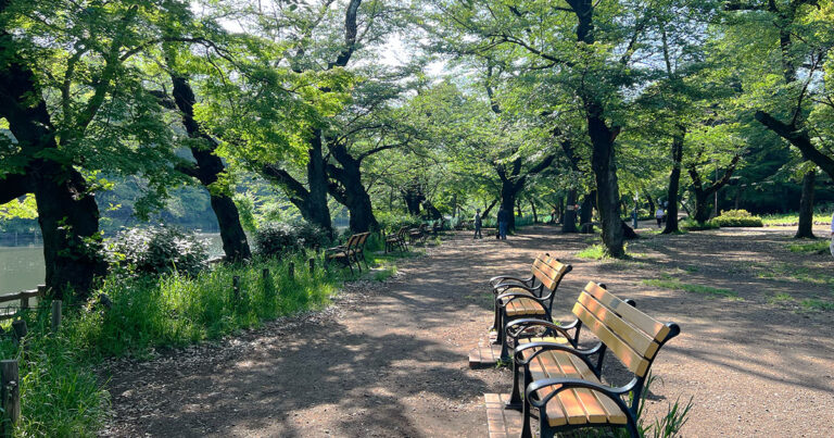 【三鷹市】井の頭恩賜公園 ボート場サイド