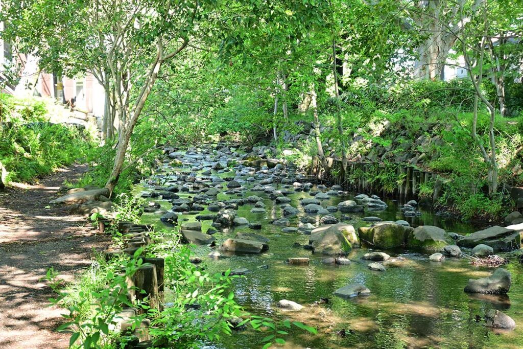 井の頭公園 三角広場 神田川