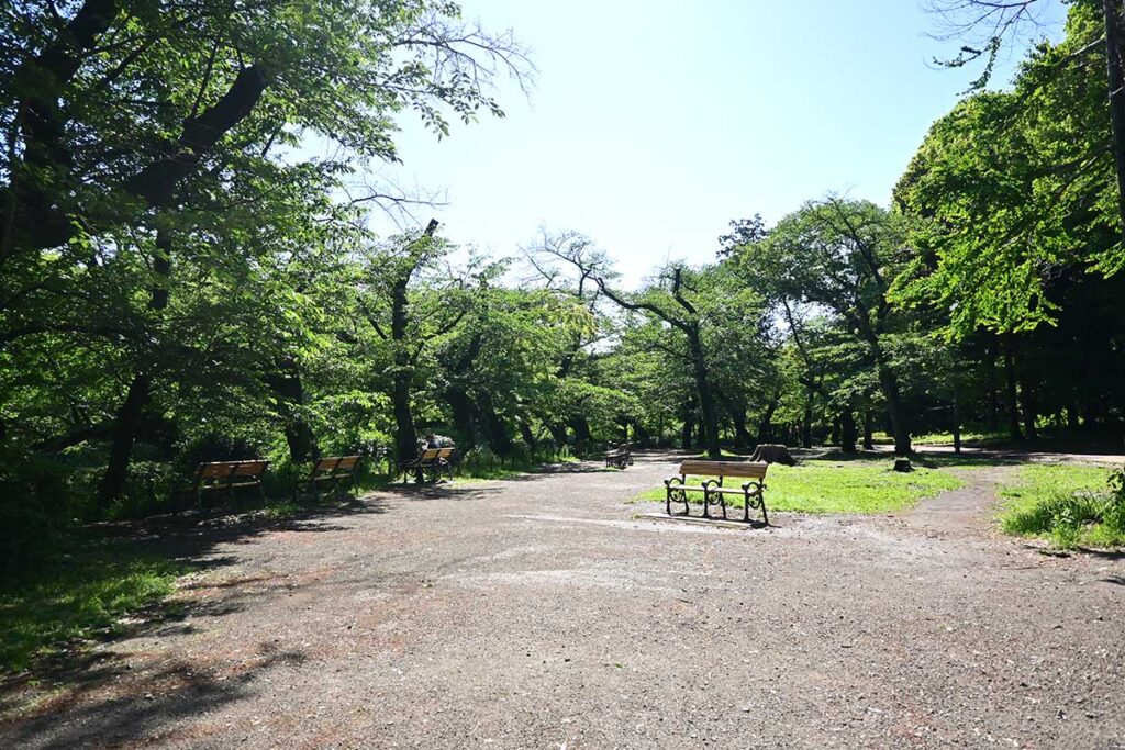 井の頭公園のボート乗り場サイドエリア