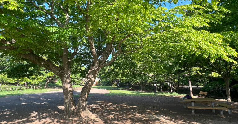 【三鷹市】井の頭恩賜公園 三角広場