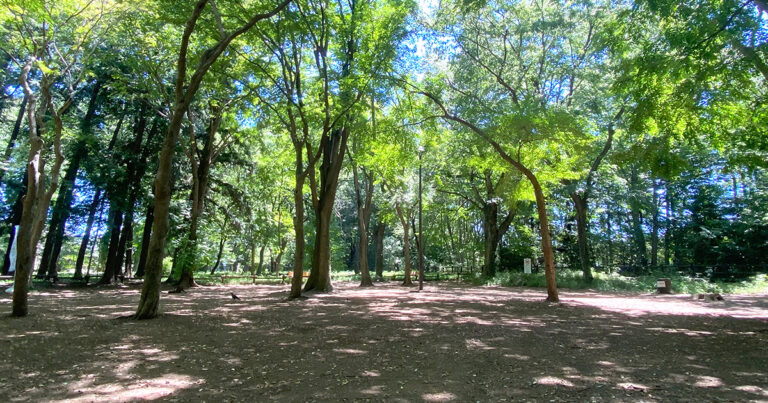 【武蔵野市】井の頭恩賜公園 「松本訓導碑」下広場