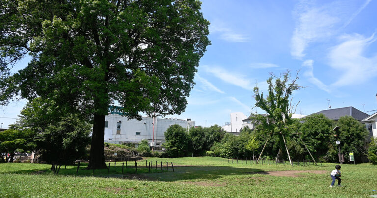 【武蔵野市】吉祥寺西公園