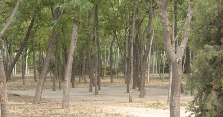 北京朝暘区の興隆公園