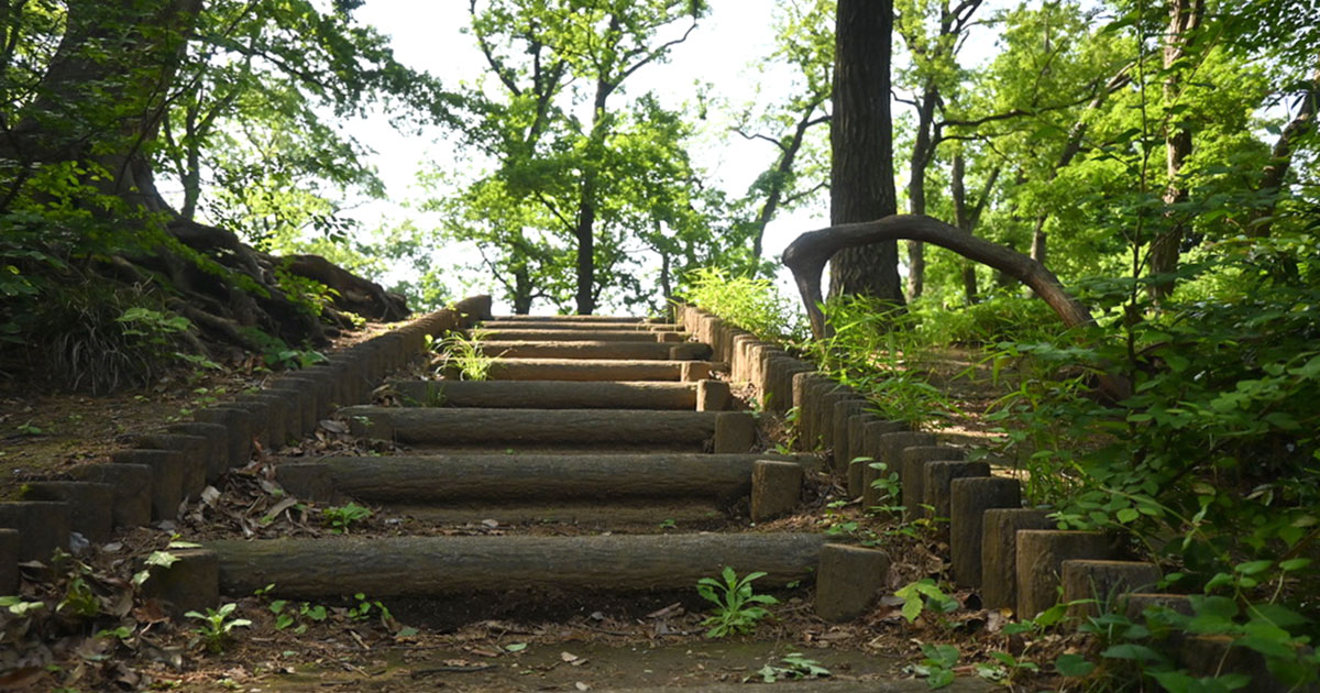 天神山城跡（新川天神山青少年広場）