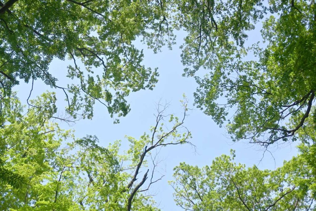 空が高く感じる