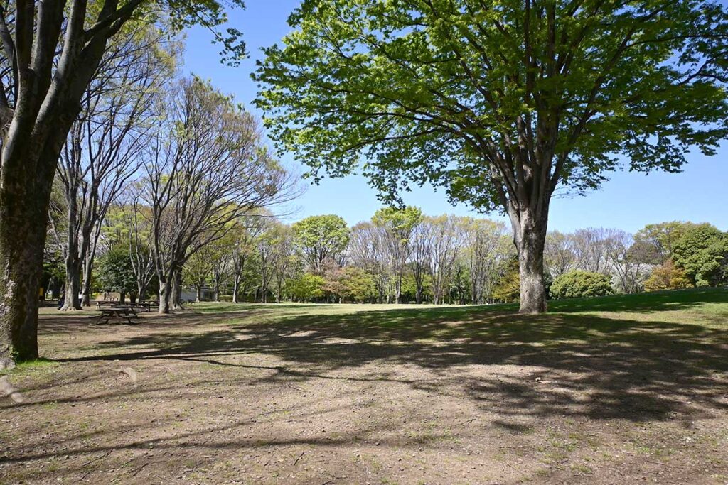 神代植物公園 自由広場