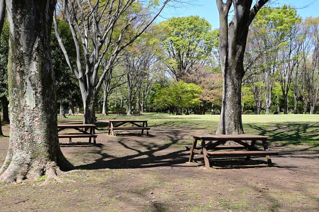 神代植物公園 自由広場