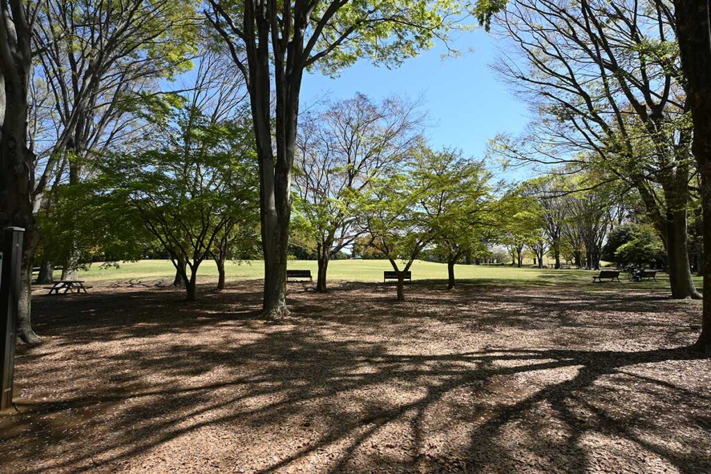 神代植物公園 自由広場