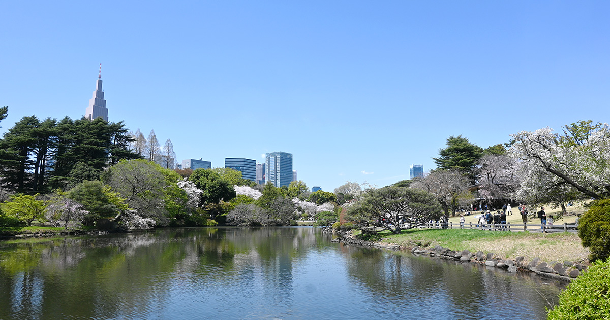 2026年春の新宿御苑