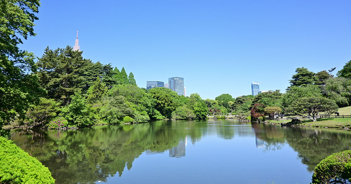 新緑の新宿御苑