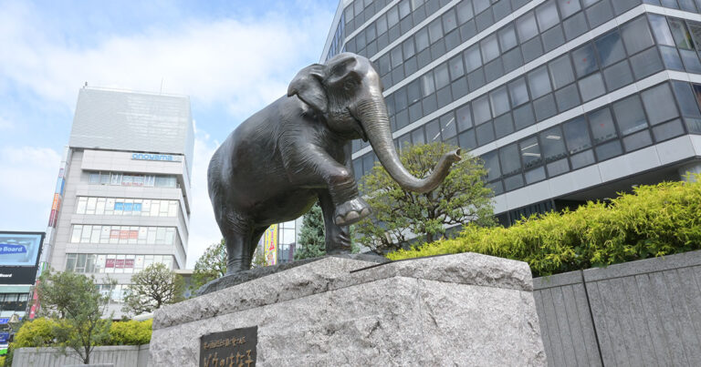 井の頭自然文化園「動物園編」はな子
