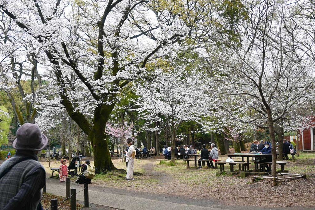 地元の人々に愛されている