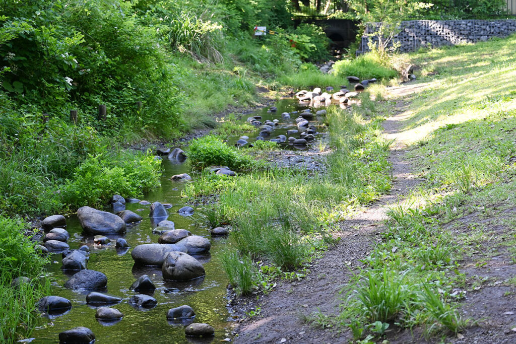 善福寺公園