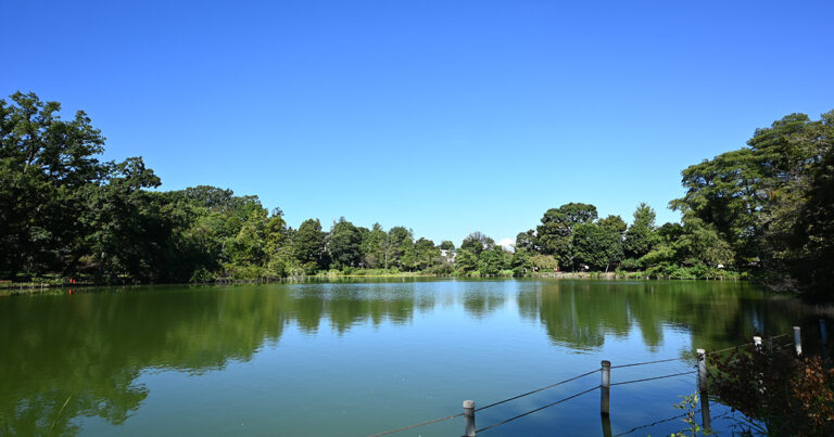 【杉並区】善福寺公園