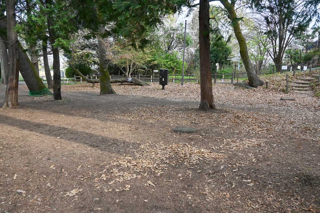 早朝にデンマーク体操ができる