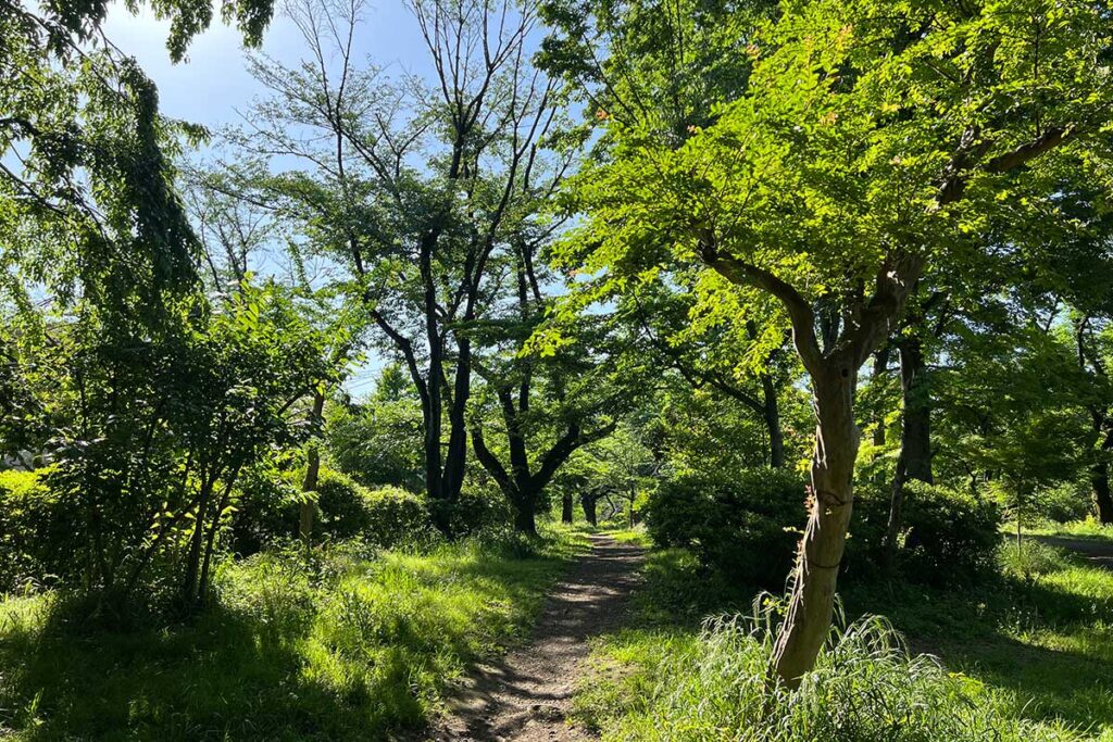 善福寺公園内