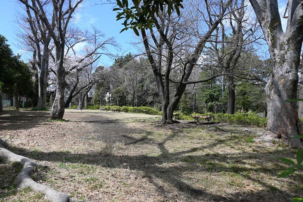 善福寺公園の隠れスポット