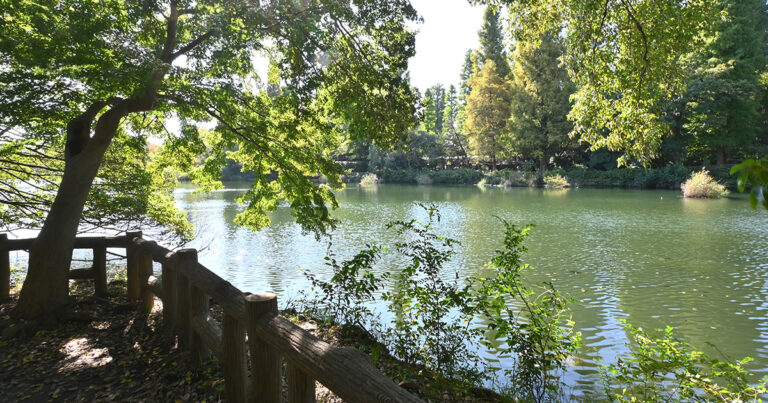 2024年10月の井の頭公園