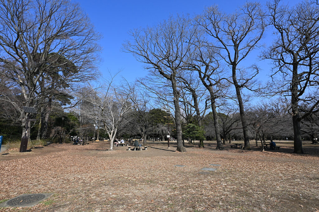 井の頭公園「西園」冬の景色