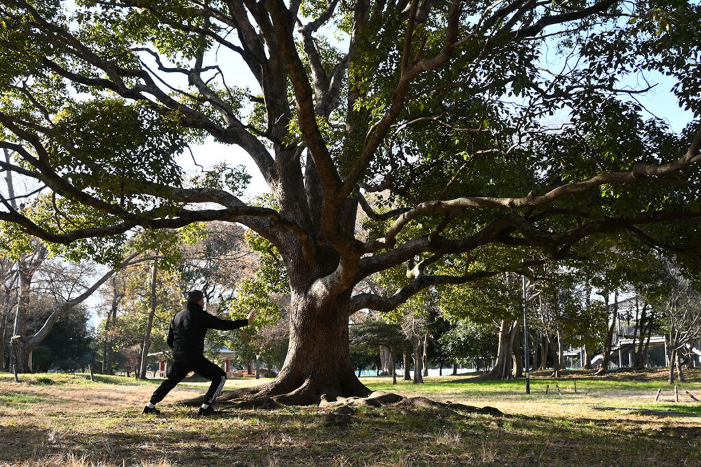 田中稜月 陳式太極拳（夢の島公園）