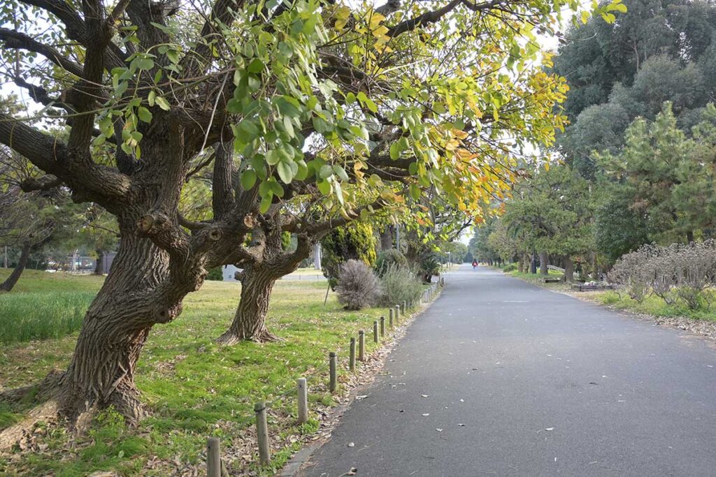 夢の島公園