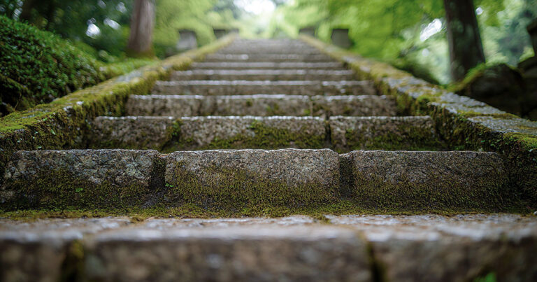 未熟さとは成長への可能性である