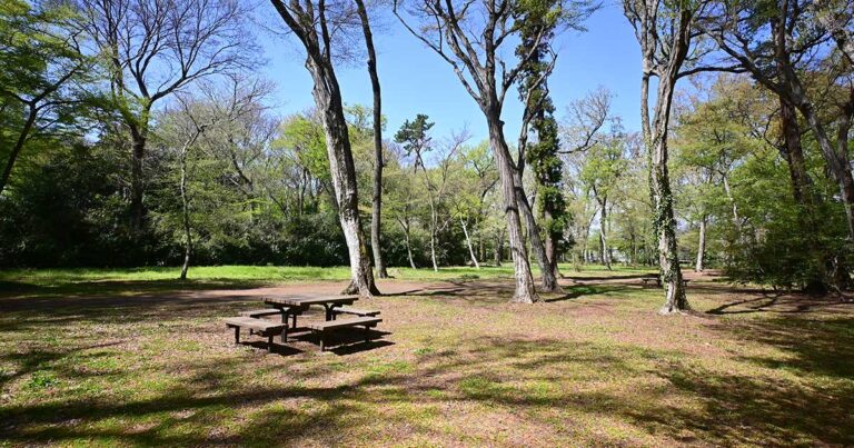 【調布市】神代植物公園 
