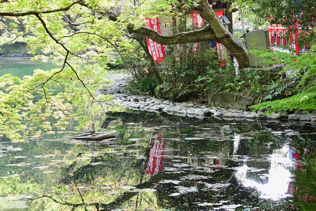 奉納された「のぼり」