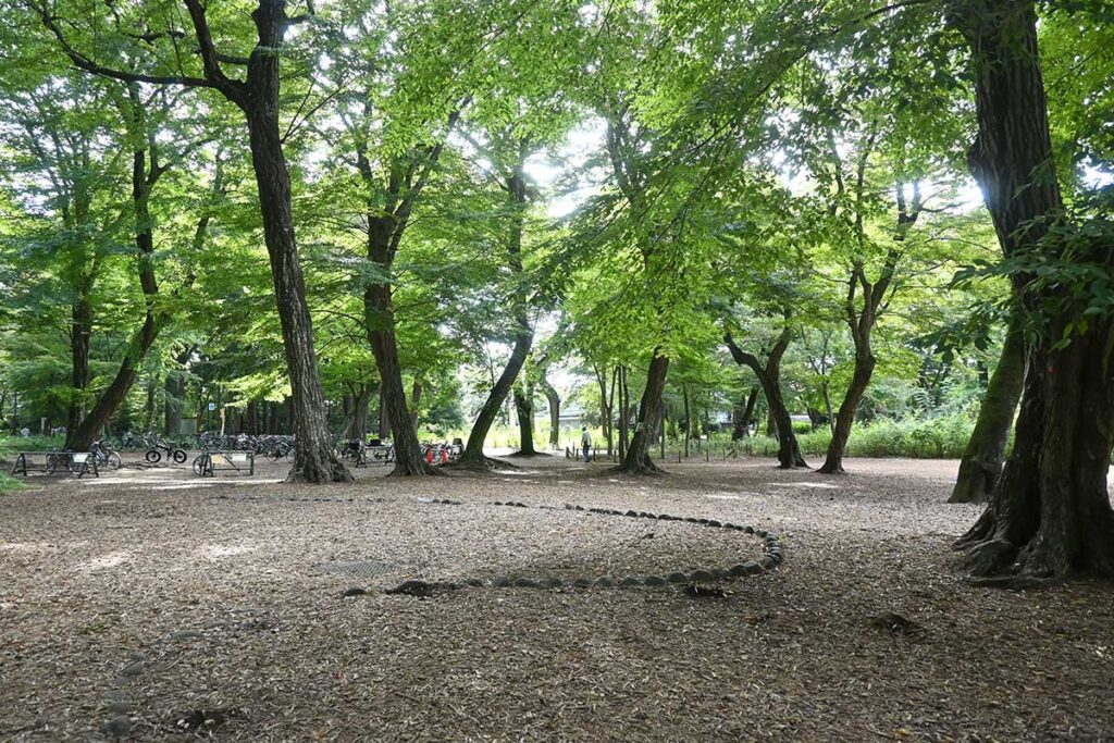 井の頭公園西園