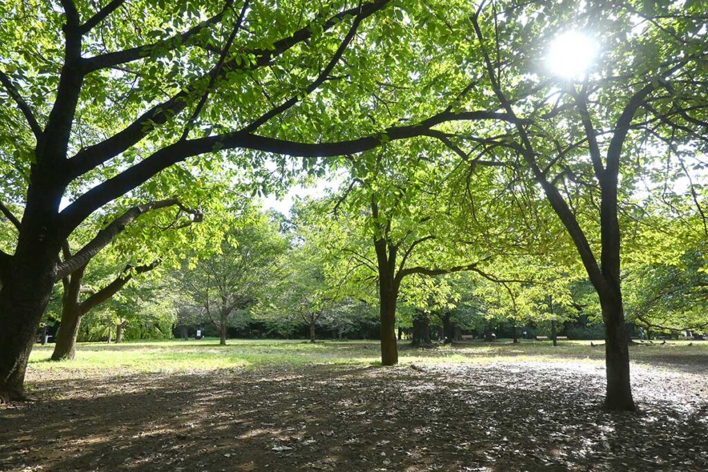 井の頭公園西園