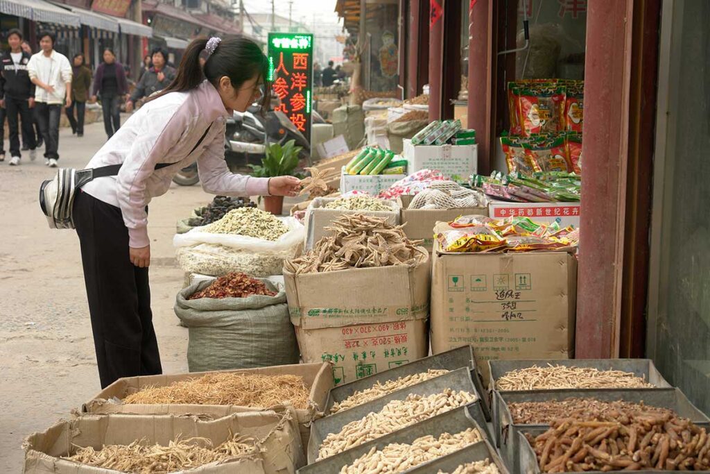 安徽省亳州「漢方薬の材料市場」