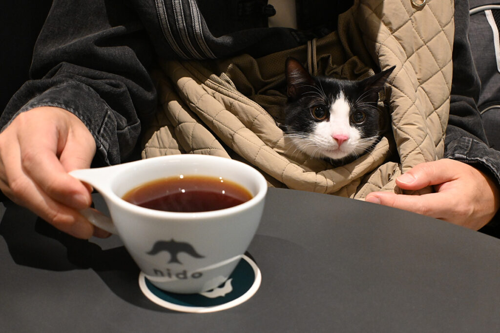 初めてのお出かけとカフェ