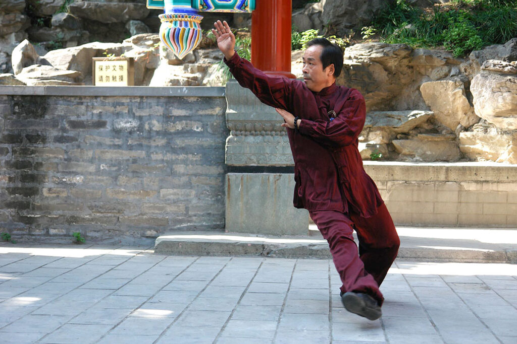 八卦掌第四代継承者「麻林城」青龍探爪