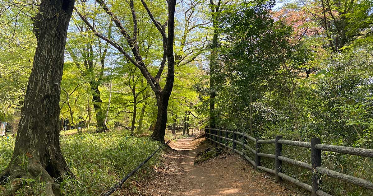 吉祥寺カンフーライフ「活動目的」