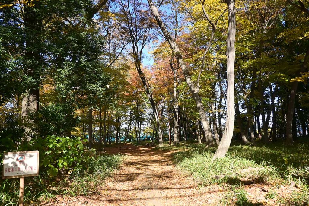 【三鷹市】北野公園
