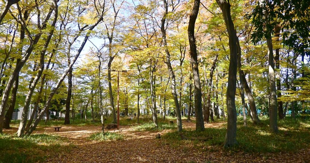 【三鷹市】北野公園