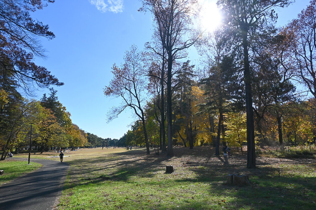 空が高くて空気が澄んでいます