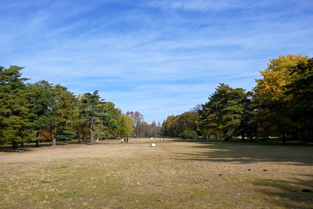 秋の野川公園