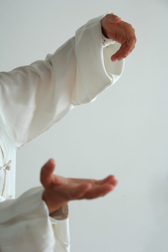 陳式太極拳の手の形(釣手)