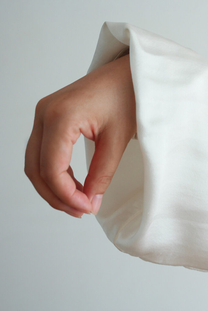 陳式太極拳の手の形(勾手)