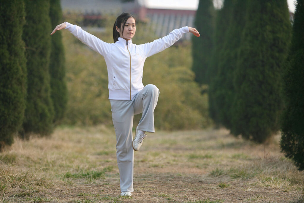 華佗五禽戯「鳥戯」横山春光