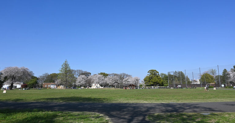 【杉並区】高井戸公園