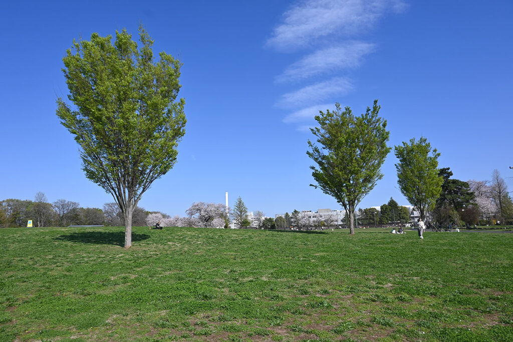 広々とした空が近く感じる