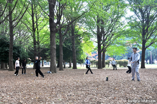 公園での交流練習風景