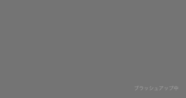 ブラッシュアップ中